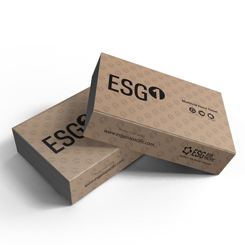 ESG1 Multifold Towel 23cm x 23cm towels (12/CTN)